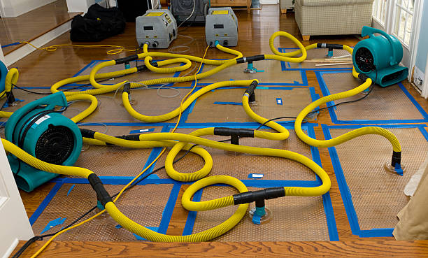 Professional Water Damage Repair technician working in Center Sandwich, NH